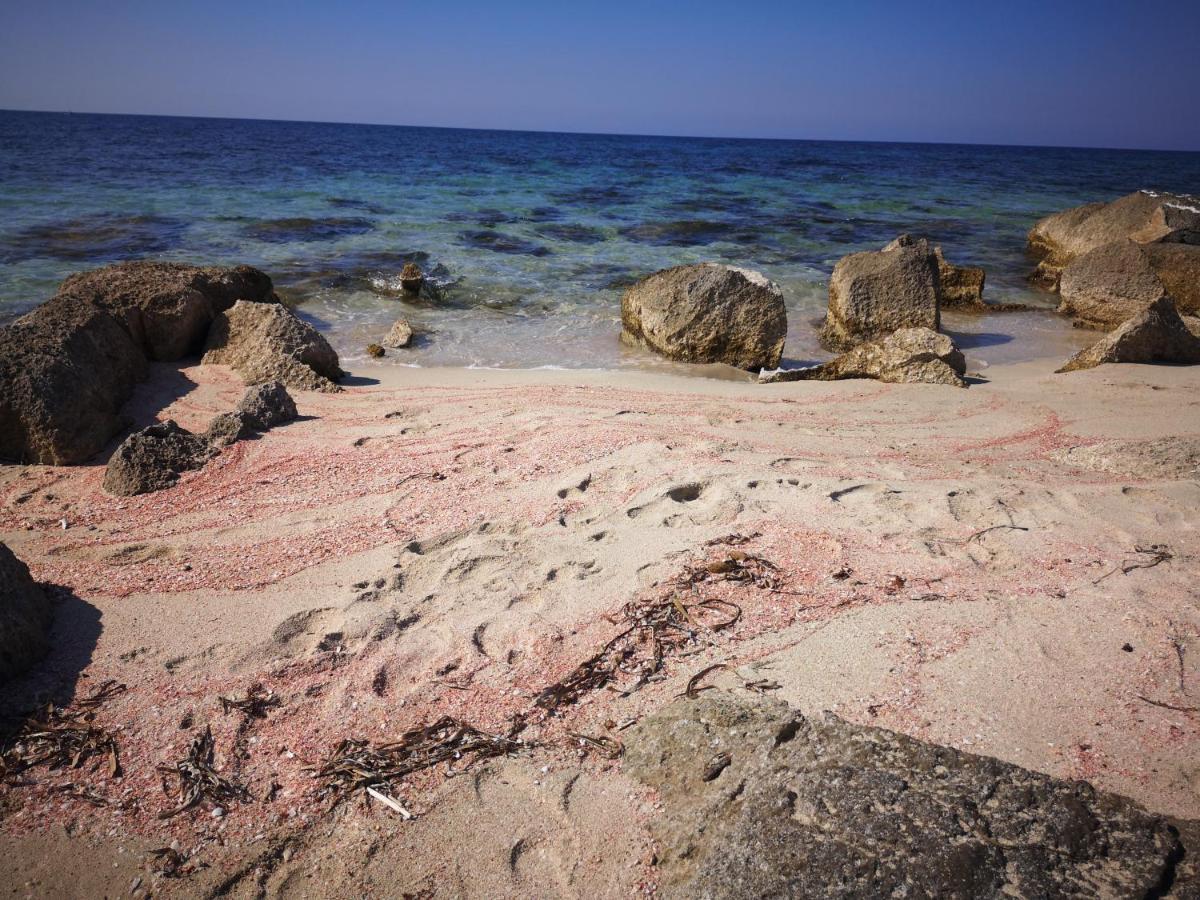 Casa Vacanza Da Samuele San Vito Lo Capo Dış mekan fotoğraf
